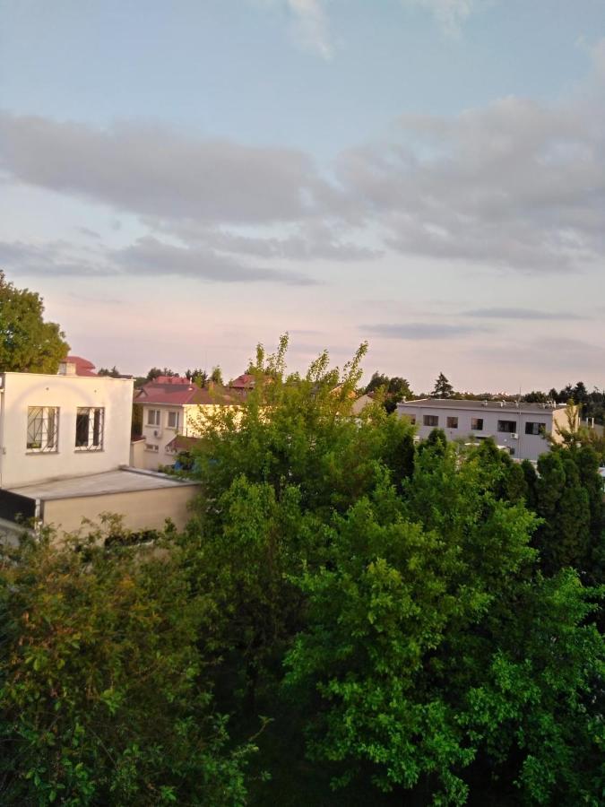 La Madriguera Bed & Breakfast ราชิน ภายนอก รูปภาพ