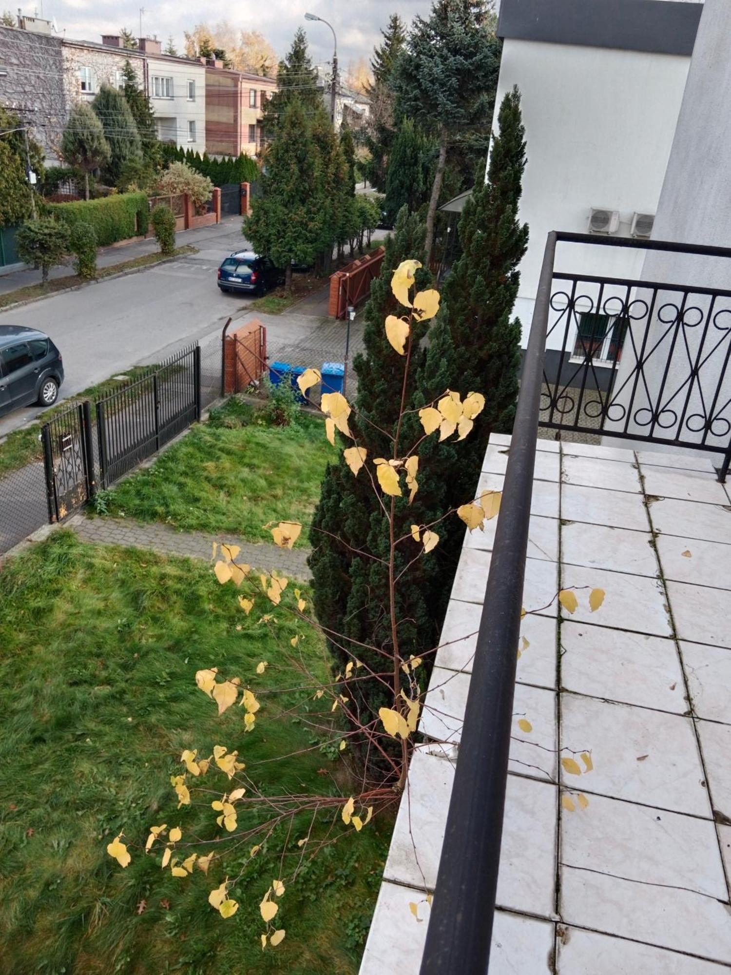 La Madriguera Bed & Breakfast ราชิน ภายนอก รูปภาพ